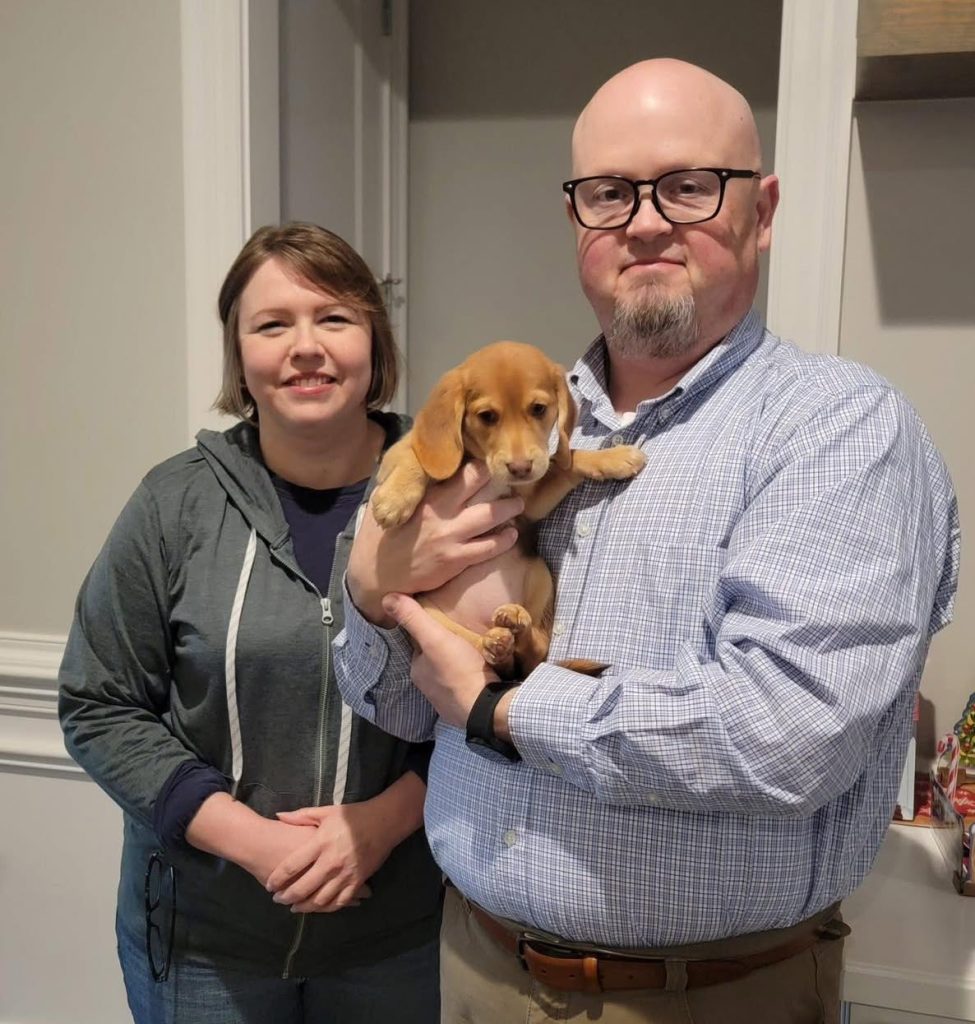 beagle puppies for doption 1761847946 3754975185750346049 65538164859