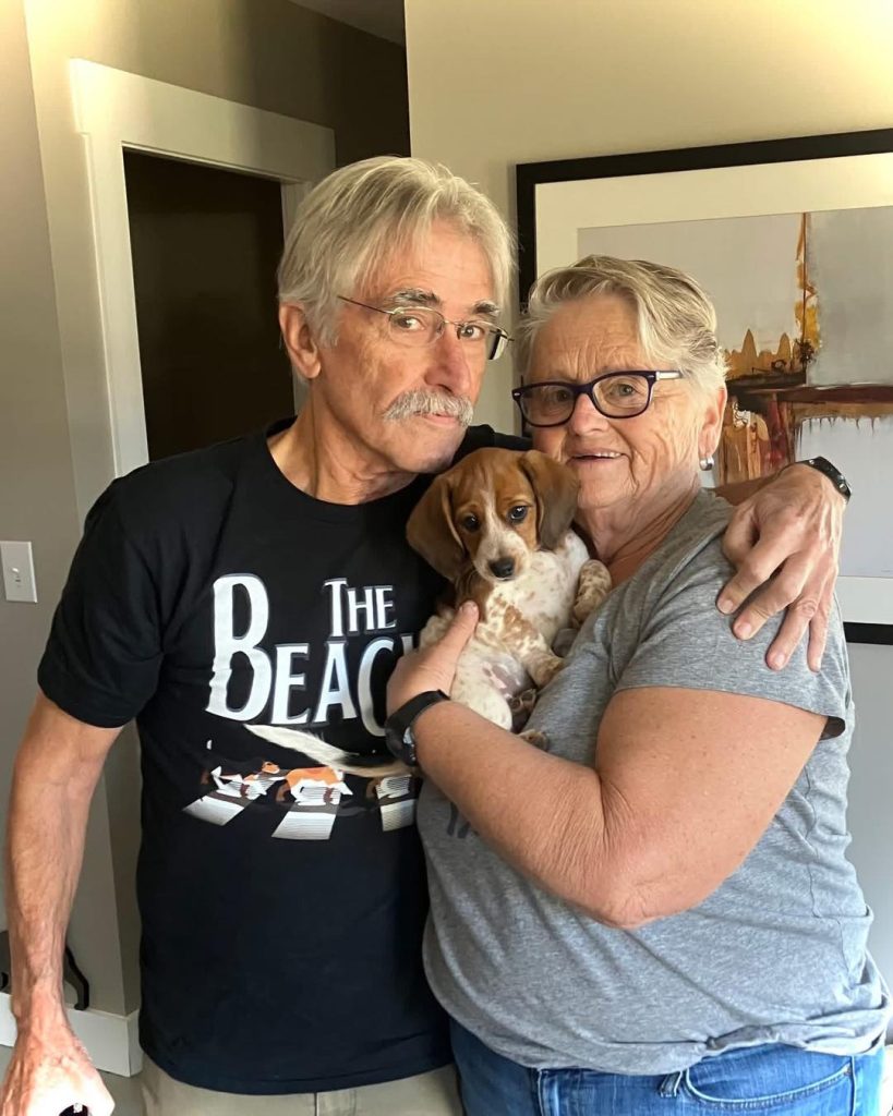 beagle puppies for doption 1761860922 3755084038534000979 65538164859