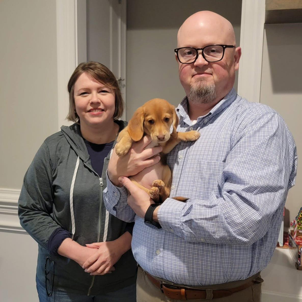 beagle puppies for doption 1761861257 3755086850470879775 65538164859