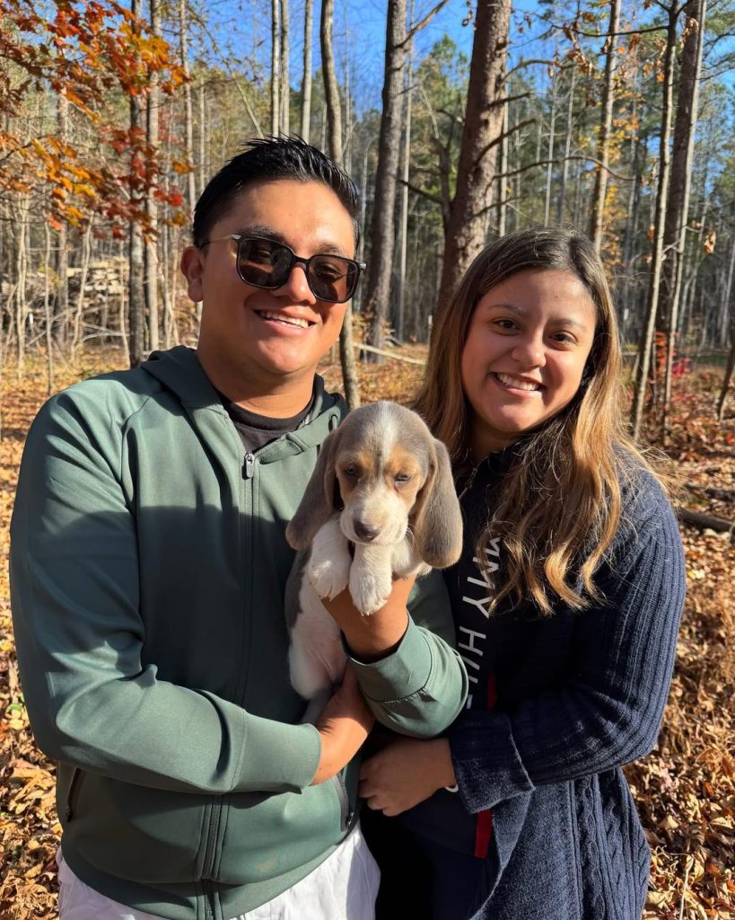 beagle puppies for doption 1763435429 3768291962899040755 65538164859